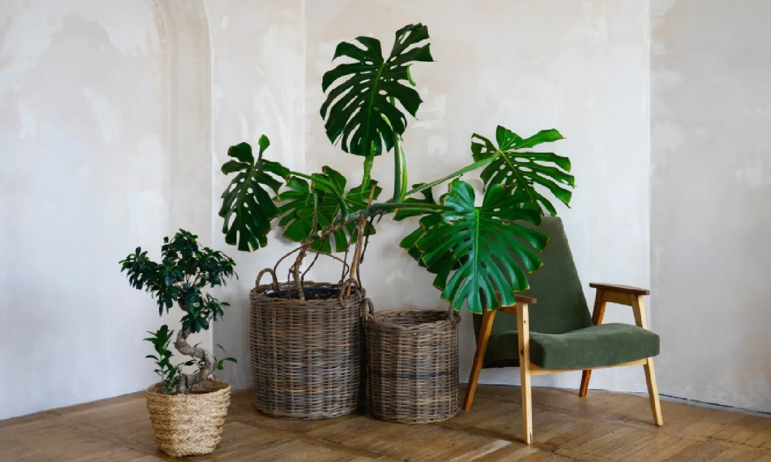 interiorismo biofílico